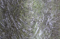 Bilsborrow fibreglass roof work